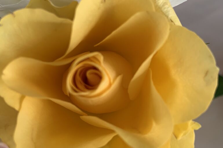 04241FB2-B475-4527-B05B-AAAD336A3AD9